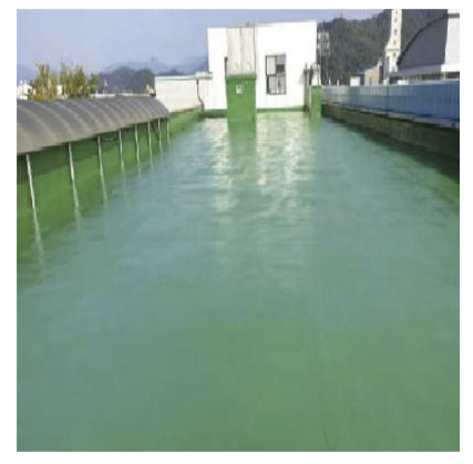 t2mm, 주차장 옥상